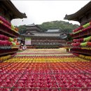 삼광사 연등축제(2015.5.14) 이미지