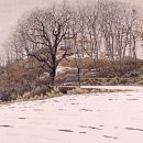 중원-130 이미지