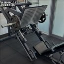 팔머메디스포츠