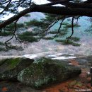 송전마을 이미지