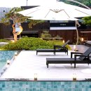 타피올라 이미지