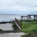 솔바람 파도소리 이미지