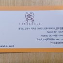샌드 앤 롤