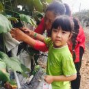 석호농원 이미지