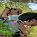 한들공원 이미지