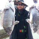 탄도 섬마을 이미지