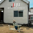 독채펜션 제주별하 | 제주 감성 숙소 가성비 제주도 동쪽 독채 제주펜션