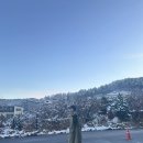 곰발자국 Daum카페