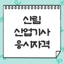 산림산업기사 응시자격 온라인으로 준비한 후기