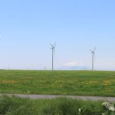 달맞이길62번길 13 이미지