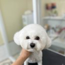 마음이네 멍발소 이미지