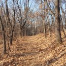 수리산둘레길 이미지