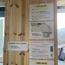 #27 경남 밀양 엠와이힐링캠핑장
