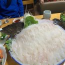 카카오 이미지