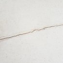 대화아파트 이미지