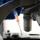 24아프리카동물메디컬센터 이미지