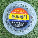 ☆과일이 맛있는 소담청☆ 5월 13일 (월요일) 피치망고,v흑수박 큰통 9.900원 이벤트v//산딸기 입고///세지메론,파파야메론/깨오 이미지