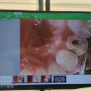 세상에서 제일 빛나는 치과의원 이미지