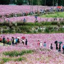 북항 노을공원 일대 이미지