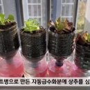 아파트 베란다 텃밭:: 페트병에 상추심기:: 자동급수화분 만들기 이미지