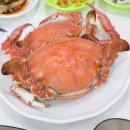섬마을바다 | 당진 왜목마을 맛집, 제철 맞은 새우와 꽃게가 맛있는 섬마을횟집 후기