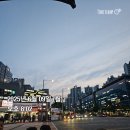 고우리수산 | 6월 2주 차 주간 일기 (6.8~6.14)