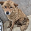 봉정축산 이미지