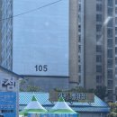 킹콩강릉점 이미지