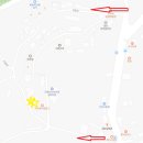 딩동댕댕 애견유치원 이미지