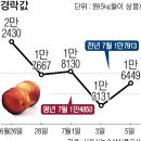 중앙청과마트 이미지