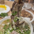 포레스트오늘숲 네이버블로그