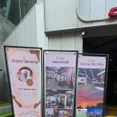 테이크원(TAKE 1) | 강남 대형카페 애견동반 데이트 카페 추천(테이크원 커피)