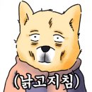셀립여의 이미지
