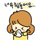 슬기로운놀이생활 이미지