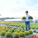 축현1리 이미지