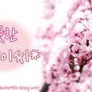 쉐프씨