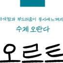 오르트 오란다