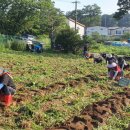 더불어 농장 이미지