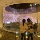 성주성산동고분군전시관 이미지