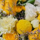 운정블라썸꽃집 이미지