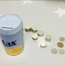 공방 나른한강아지 이미지