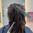 버스정류장(폭스존) 이미지