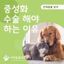 언양 동물병원 네이버블로그