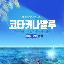 코타제주 이미지