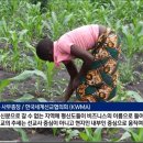 비즈즈 이미지