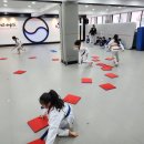 아리랑미트