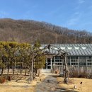 에덴 | 이천 카페 티하우스 에덴 내돈내산 재방문 후기