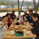 광교저수지 벗꽃 축제 (190411) 이미지