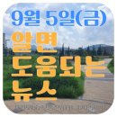 용산센트럴드림부동산공인중개사사무소 | 9월 5일(금) 알면 도움되는 뉴스