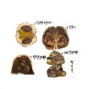 행복밀 네이버블로그